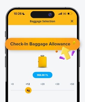 Pegasus Airlines