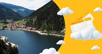 Pegasus Havayolları