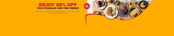 Pegasus Airlines