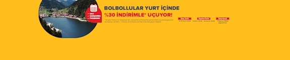Pegasus Havayolları