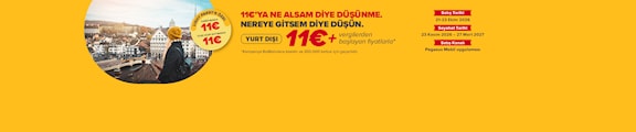 Pegasus Havayolları