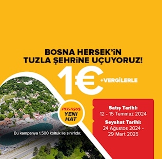Pegasus Uçak Bileti