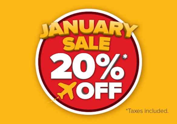 January Sales – 20% Off