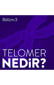 Bölüm 3:Telomer Nedir?