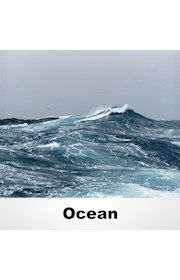 Ocean