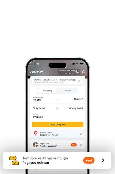Pegasus Asistan ile Seyahatini Yönet