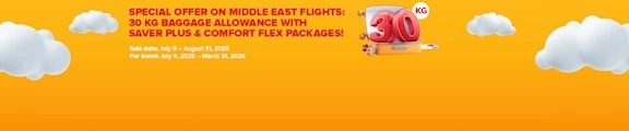 Pegasus Airlines