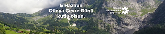 Pegasus Uçak Bileti