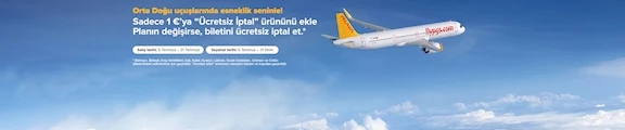 Pegasus Airlines