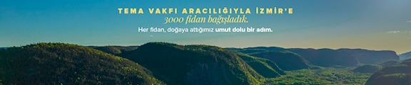 Pegasus Uçak Bileti