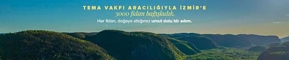Pegasus Uçak Bileti
