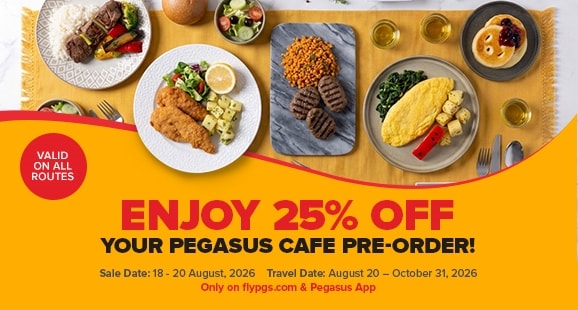 Pegasus Airlines