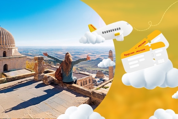Pegasus Airlines