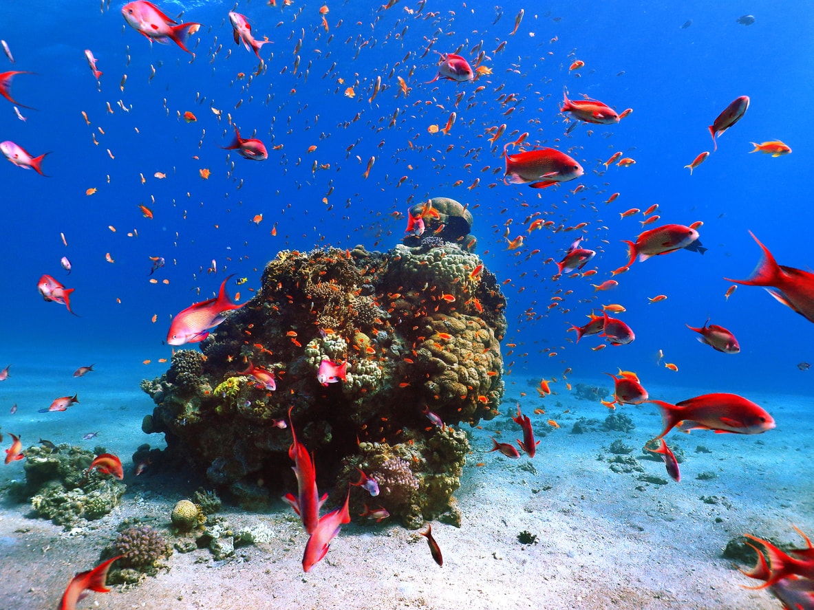 Hurghada diving centres