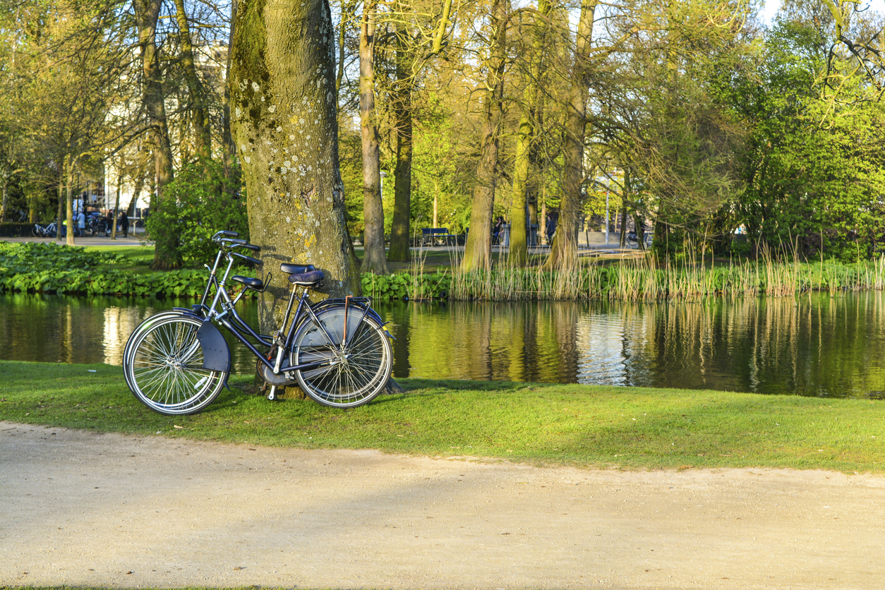 Netherland travel guide