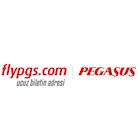 flypgs tr logo