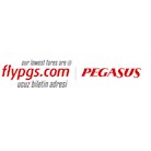 flypgs logo