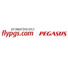 flypgs logo