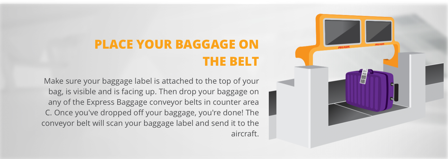 Express Baggage Pegasus Airlines