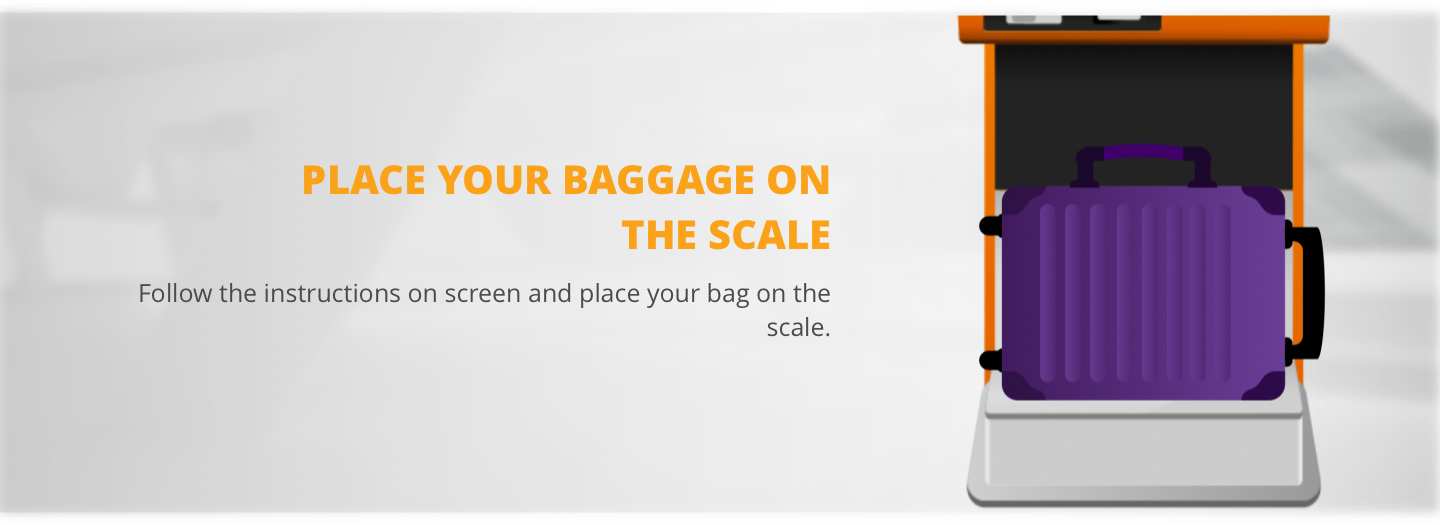 Express Baggage Pegasus Airlines