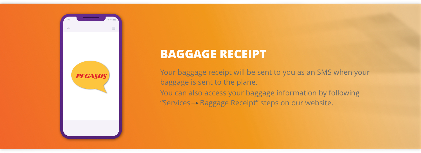 Extra baggage pegasus price deals