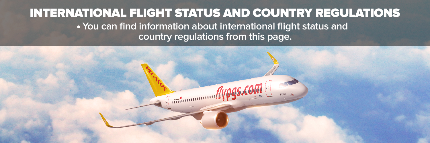 international flight status