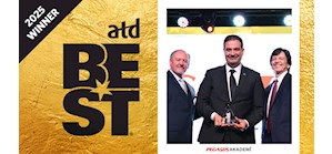 Pegasus Uçak Bileti