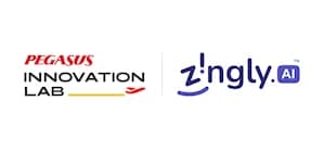 Pegasus Airlines