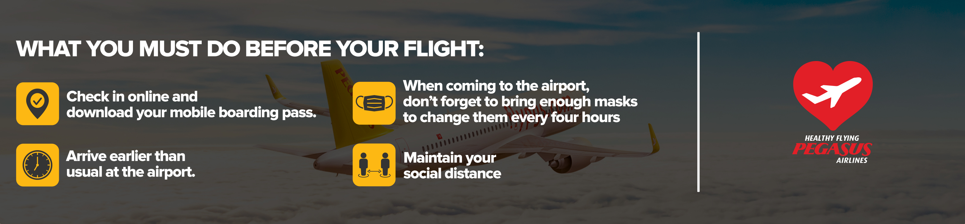what you must do before flight