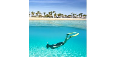 Alexandria Travel Guide