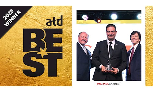 Pegasus Uçak Bileti