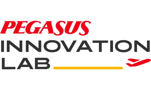 Pegasus Uçak Bileti